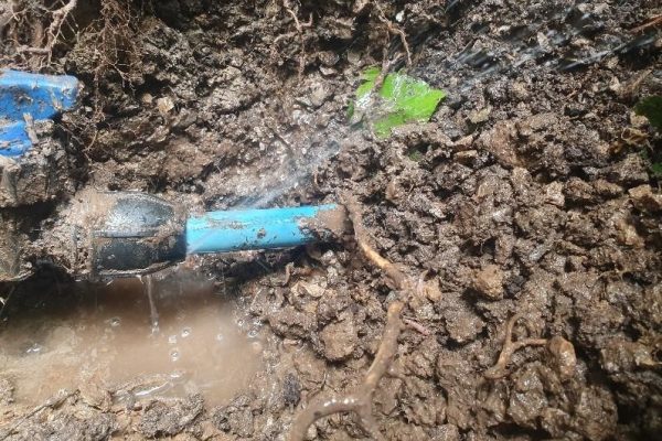 Water Mains Leak Detection Petersfield